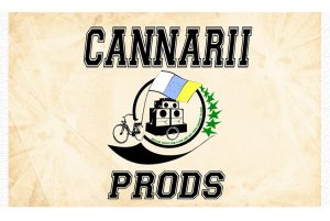 canari preview