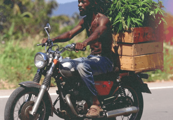 2025 - GIDDIMANI - GANJA MAN ART 02